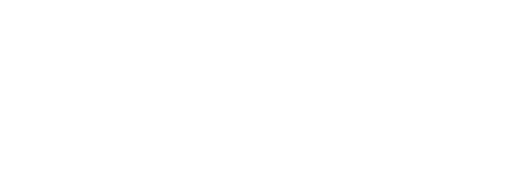 株式会社 POINT-P ロゴ